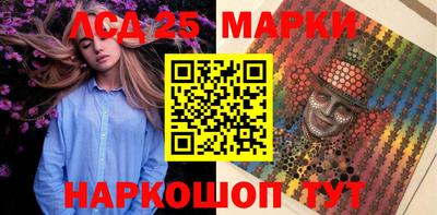гидропоника Сланцы