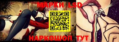 гидропоника Сланцы