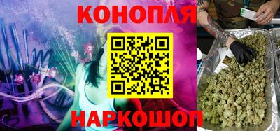гидропоника Сланцы