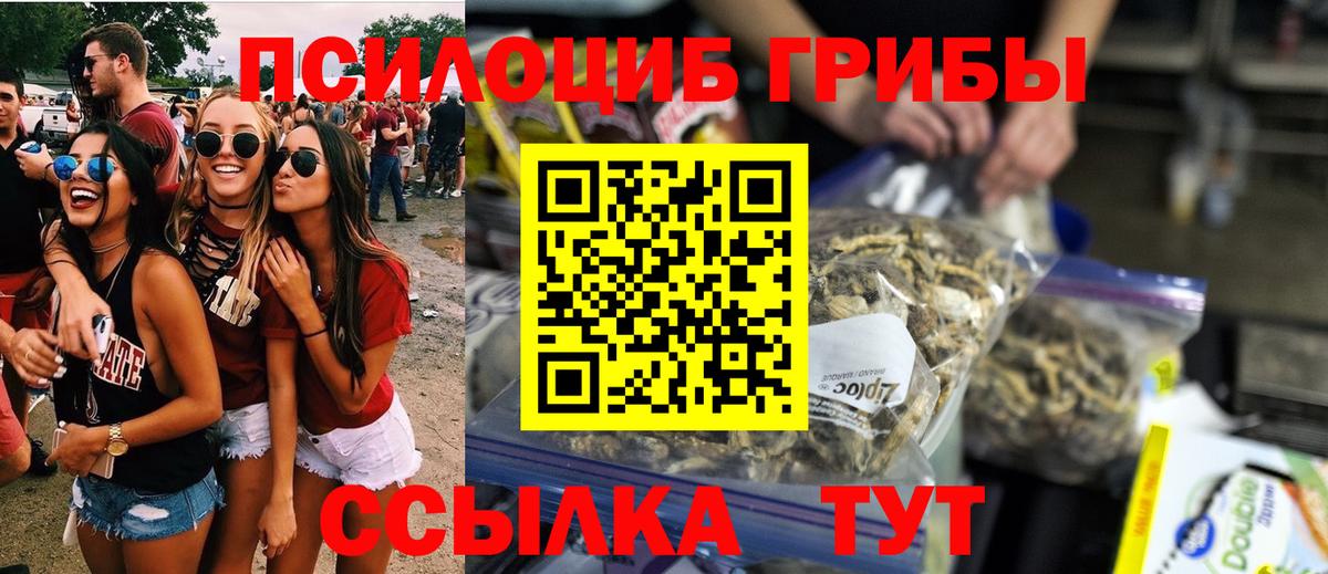 Псилоцибиновые грибы GOLDEN TEACHER  Вход с VPN  Галлюциногенные грибы Psilocybe  Гусиноозёрск 