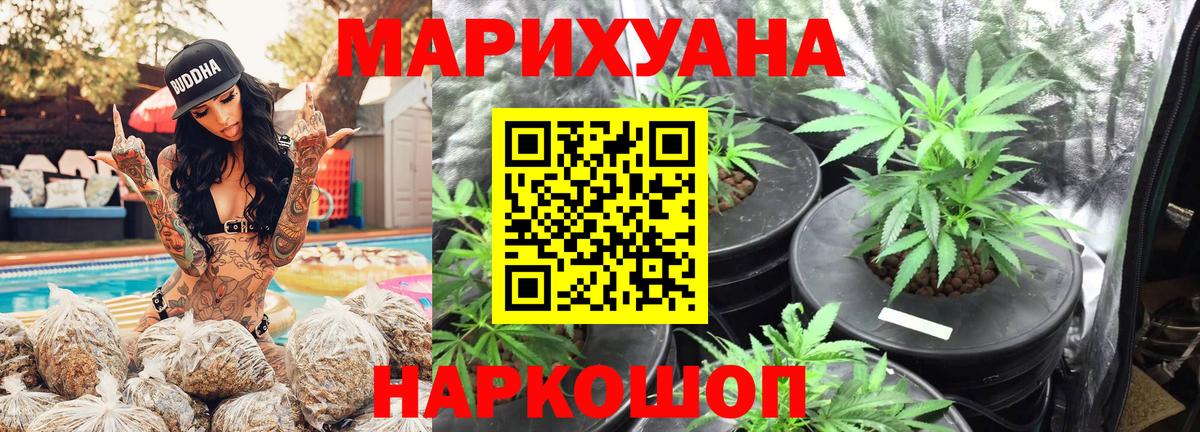 Шишки марихуана MAZAR  Вход с VPN  Гусиноозёрск  Шишки марихуана план  Конопля VHQ 